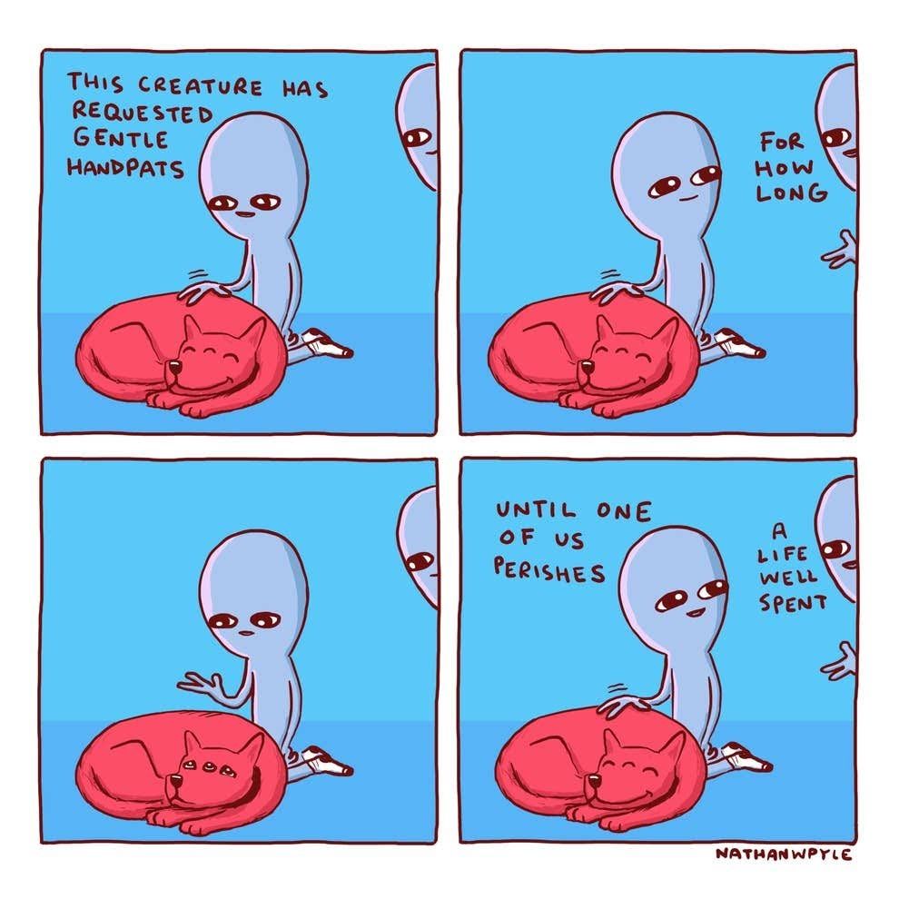 Comment image
