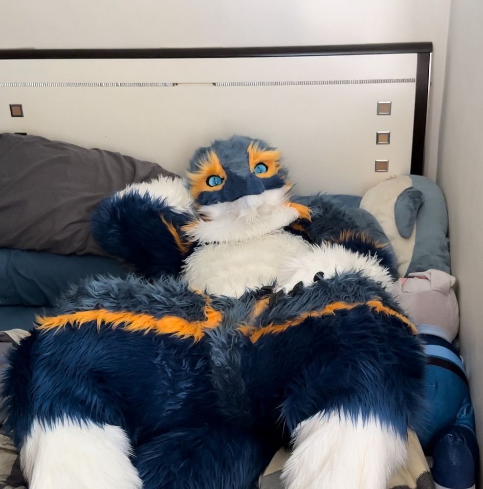 the Xilreon laying in bed comfortably