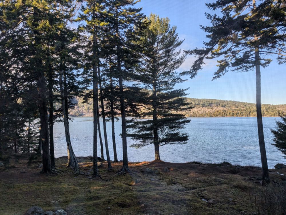 A lovely visit in rural Maine 