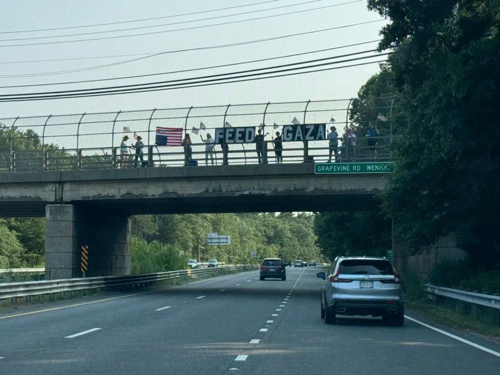 People with flags wave at cars with letters spelling out FEED GAZA 8/3/25 Wenham, MA, over Rt 128