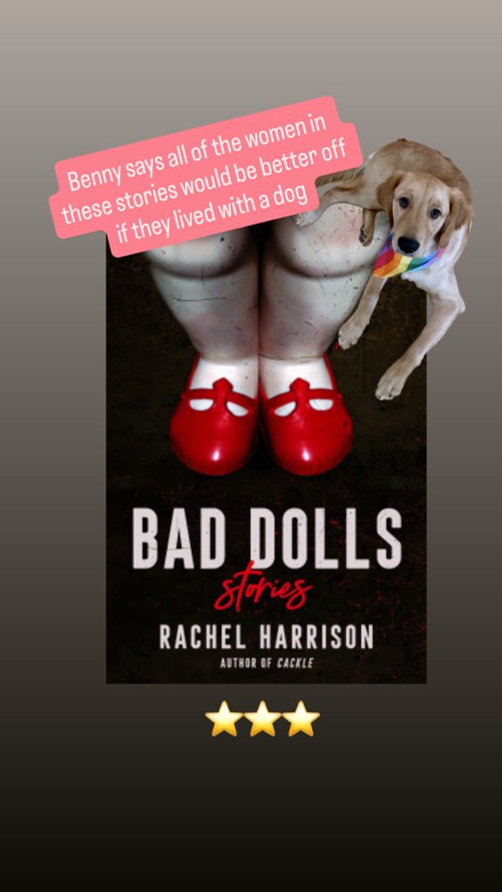A picture of the book cover of Rachel Harrison’s book Bad Dolls with photo insert of a golden retriever that says “Benny says all of the women in these stories would be better off if they lived with a dog”