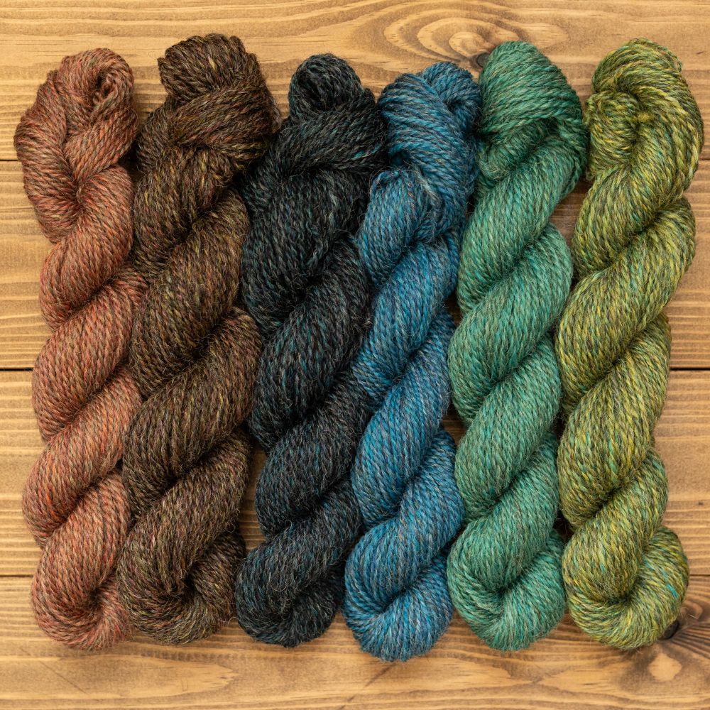 The same six yarns lined up in a row of skeins. 