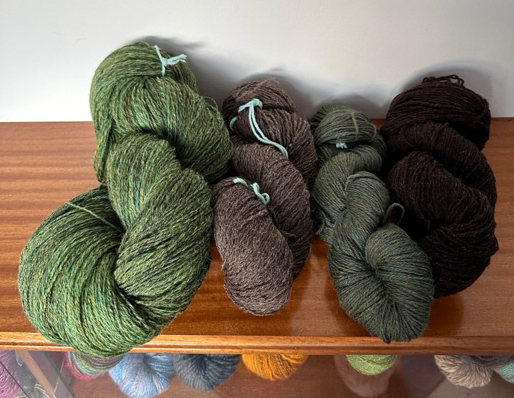 Four skeins of handspun yarn. From the left, a giant skein of green fractal spun 3-ply from a limited edition John Arbon Textiles blended top; natural Jacob; John Arbon Textiles Hangy Down and natural Zwartbles. 