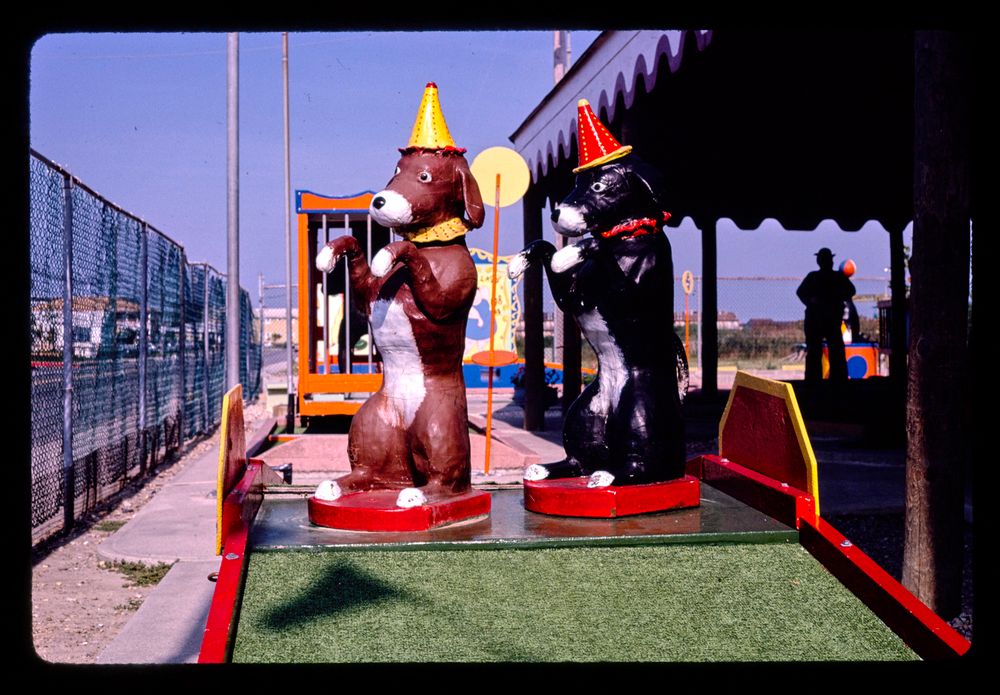 old pro golf, circus course. begging dogs, rehoboth beach, delaware, 1985