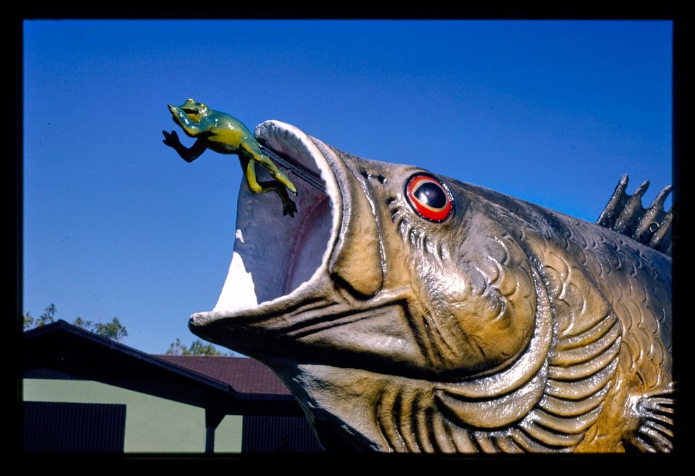 fish mouth, freshwater fishing hall of fame, hayward, wisconsin, hayward, wisconsin, 1988