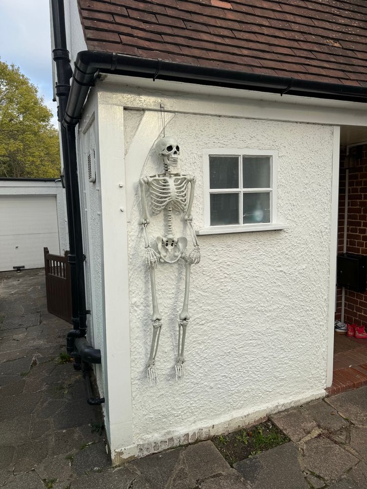 Plastic skeleton hanging on a wall