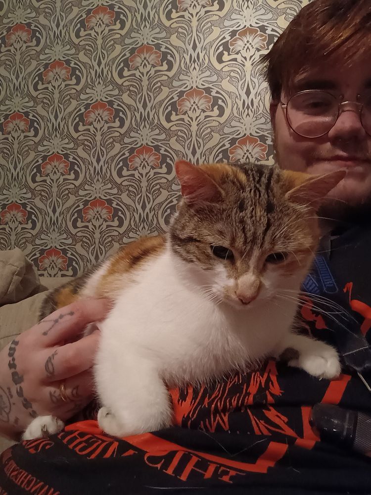 Small calico cat sitting on Jay's chest, a white man with a brown fringe and glasses