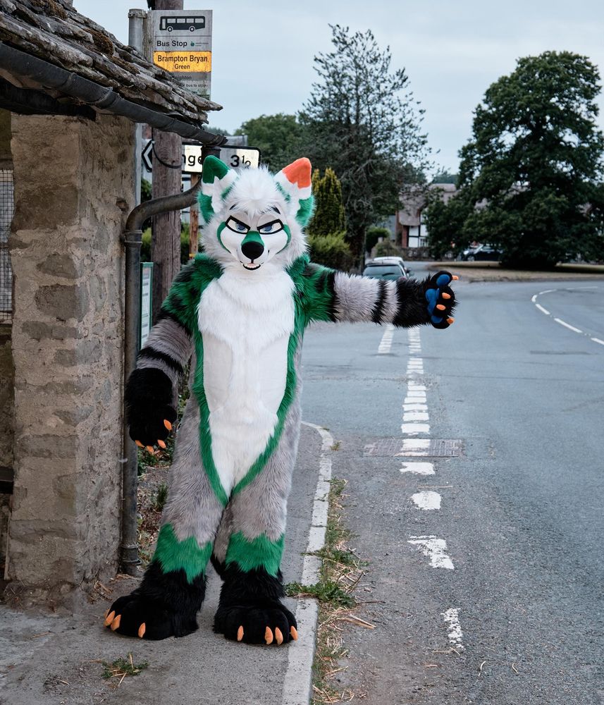 Refferic, a fursuiter with the species coyote, putting up his thumb as an international symbol to ask permission to lift.