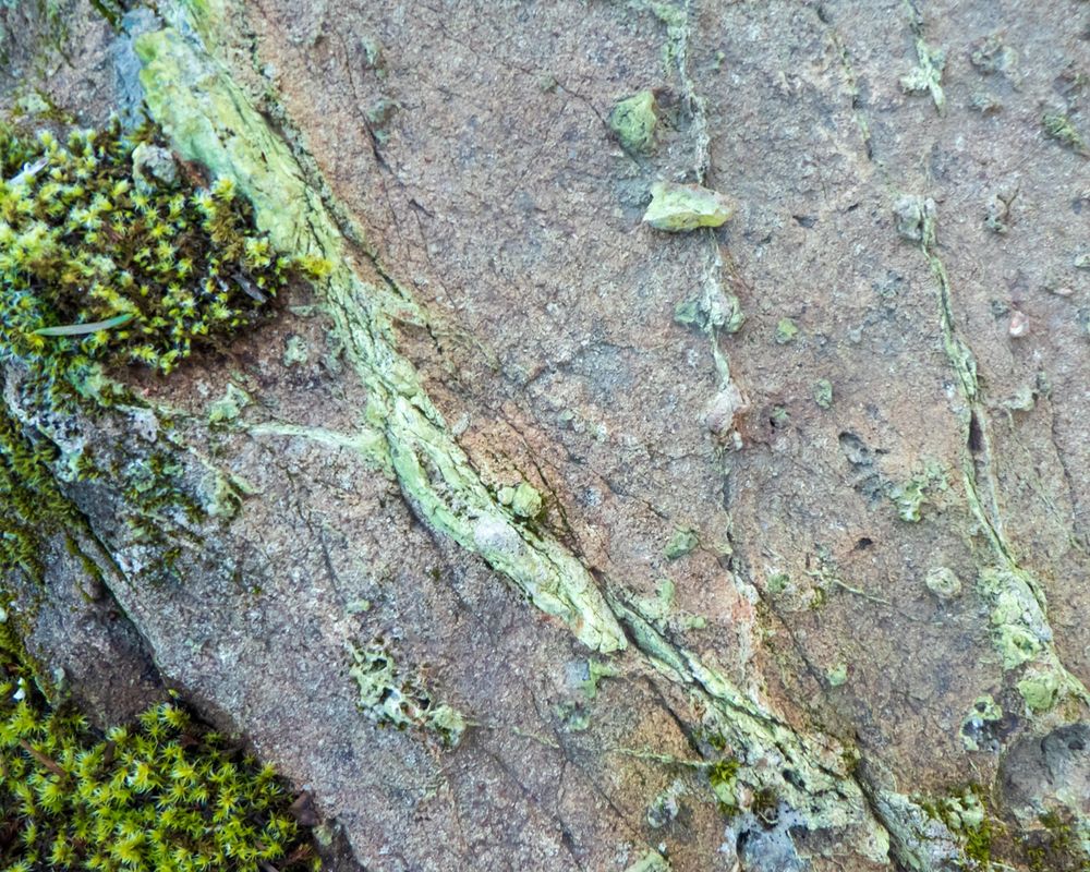 View of a rock. Brownish stone, with long cracks, out of which green stone has squeezed, as when you put too much glue in a repair.There are a few bubbles of the green stone, too. The rest of the rock is worn down; the veins of green stone, harder than the basic stone, are raised. On the left, a couple of patches of moss show the size.
This rock  is seen top-down; it lies horizontally on the top of a  hill.