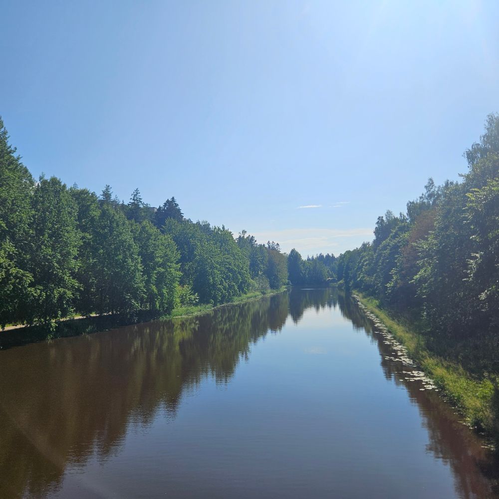 Clear skies reflected in water flanked by rows of trees