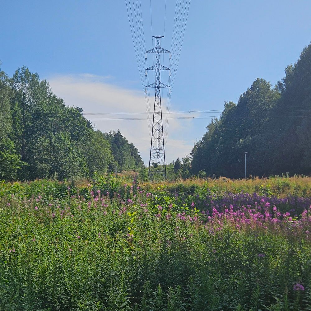Clears skies, plants and pylons