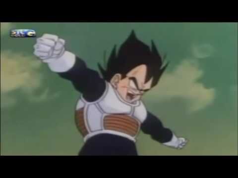 [HUEHUEHUE]Vegeta! Olha beeem! WHOOOOOOOOOOOOOOOL!!!