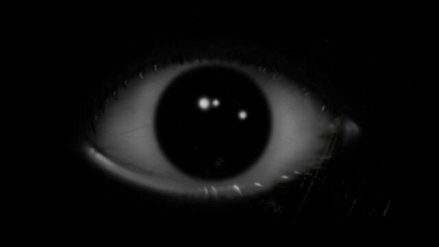 A black and white eye against a black background
