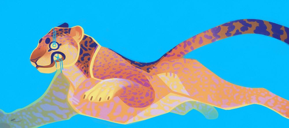 A jaguar jumping away, it is on a bright blue background.