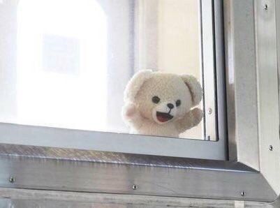 a tiny teddy bear with a radiant grin looks out a window in excitement with its hands up against the window pane. 