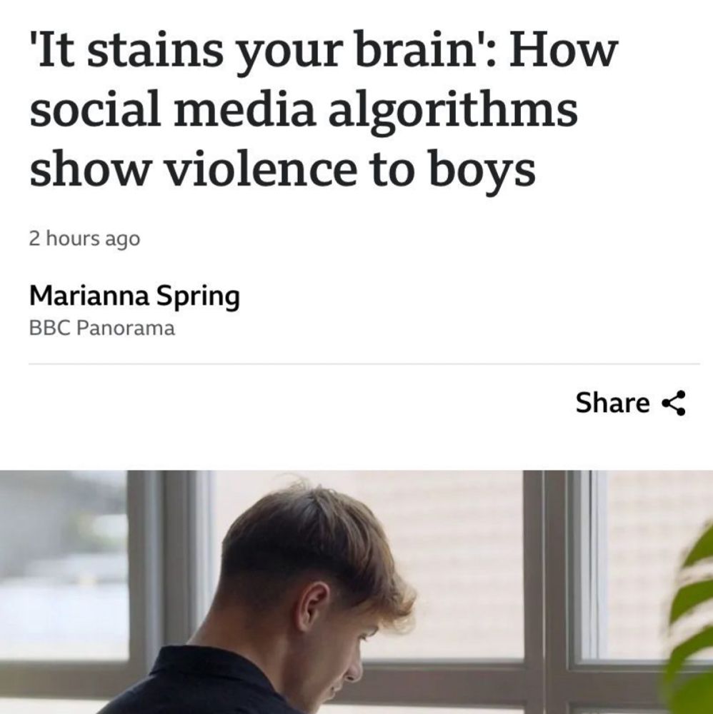 “It stains your brain” teenage boys being targeted by social media algorithms.