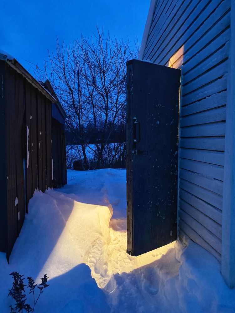 Warm light spills from the open door of a back yard shed, contrasting with the blue of a winter evening's snow and sky. Photo taken in Lyn, Ontario, January 17, 2022.