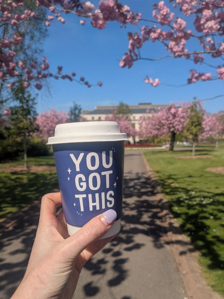 You Got This coffee cup in bright sunshine surrounded by cherry blossom trees