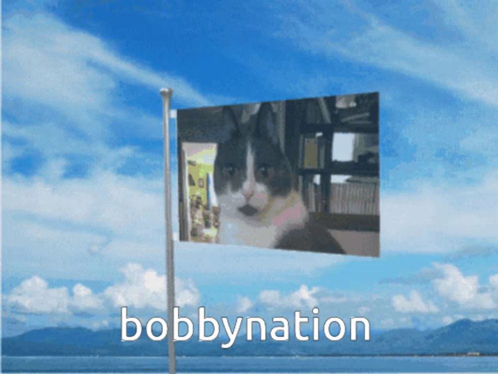 a flag with a picture of a cat and the word bobbynation