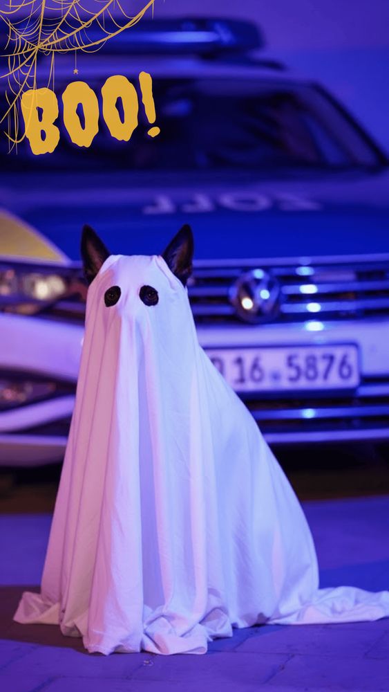 Bild: Ein als Gespenst verkleideter Zollhund sitzt vor einem Zoll-Einsatzfahrzeug. In der oberen linken Ecke sieht man ein Spinnennetz und die Aufschrift "Boo!" Bild

Hinweis: Bild mit KI-Unterstützung gefertigt.