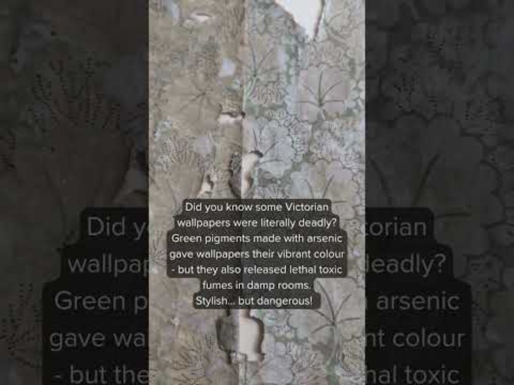 Find out why our curators have to be VERY careful with certain wallpaper fragments ☠
