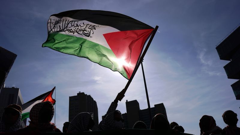Pro-Israel website was used to find names of student protesters to investigate, senior ICE official says | CNN Politics