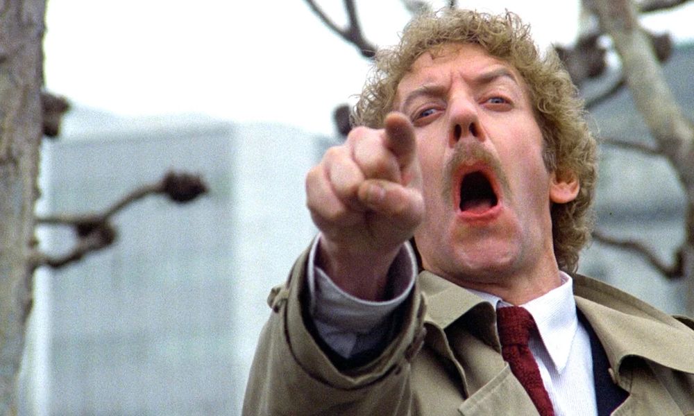 Final scene of "The invasion of the body snatchers", with Donald Sutherland pointing YOU XD