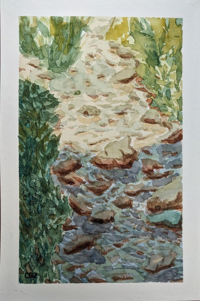 A watercolor painting of a creek, half in light and half in shadow.