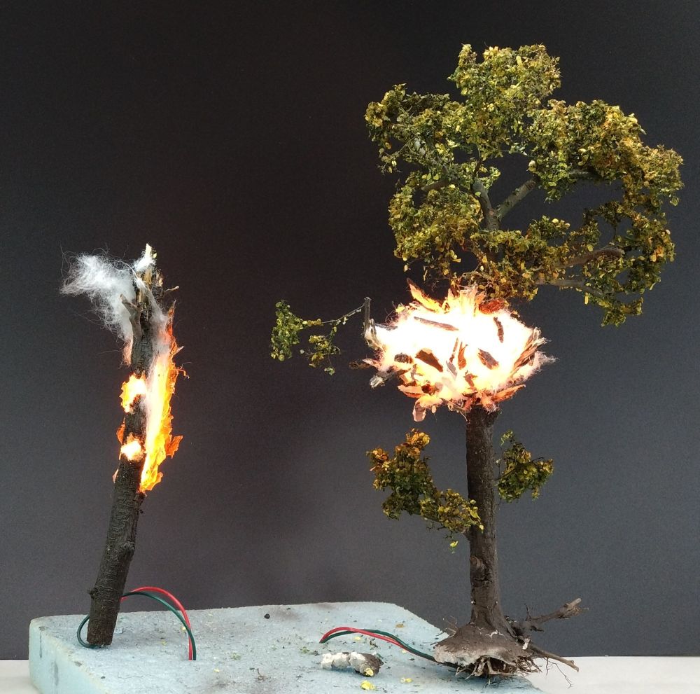 燃えた樹木と砲弾で粉砕した樹木。