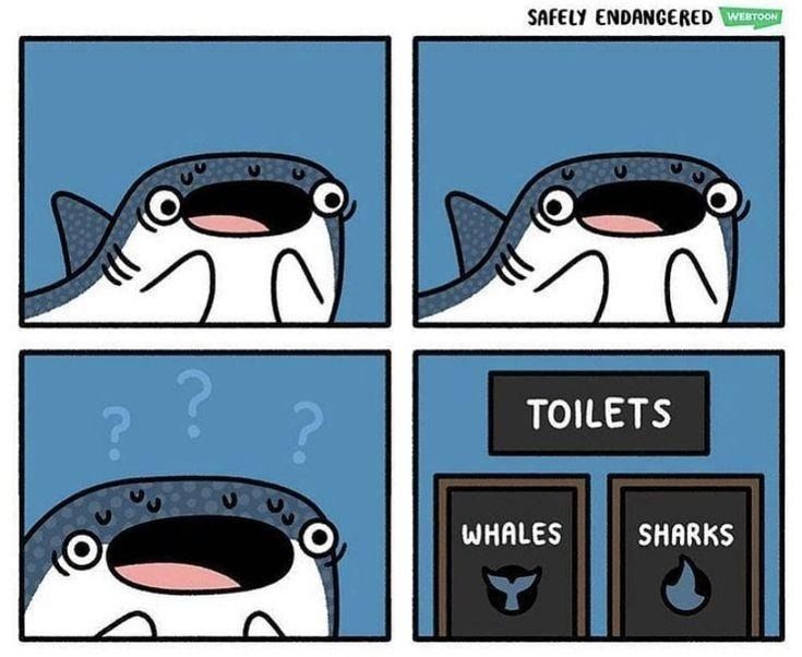 A whale shark is staring nervously at a pair of bathroom doors, one says Whales, the other says Sharks.