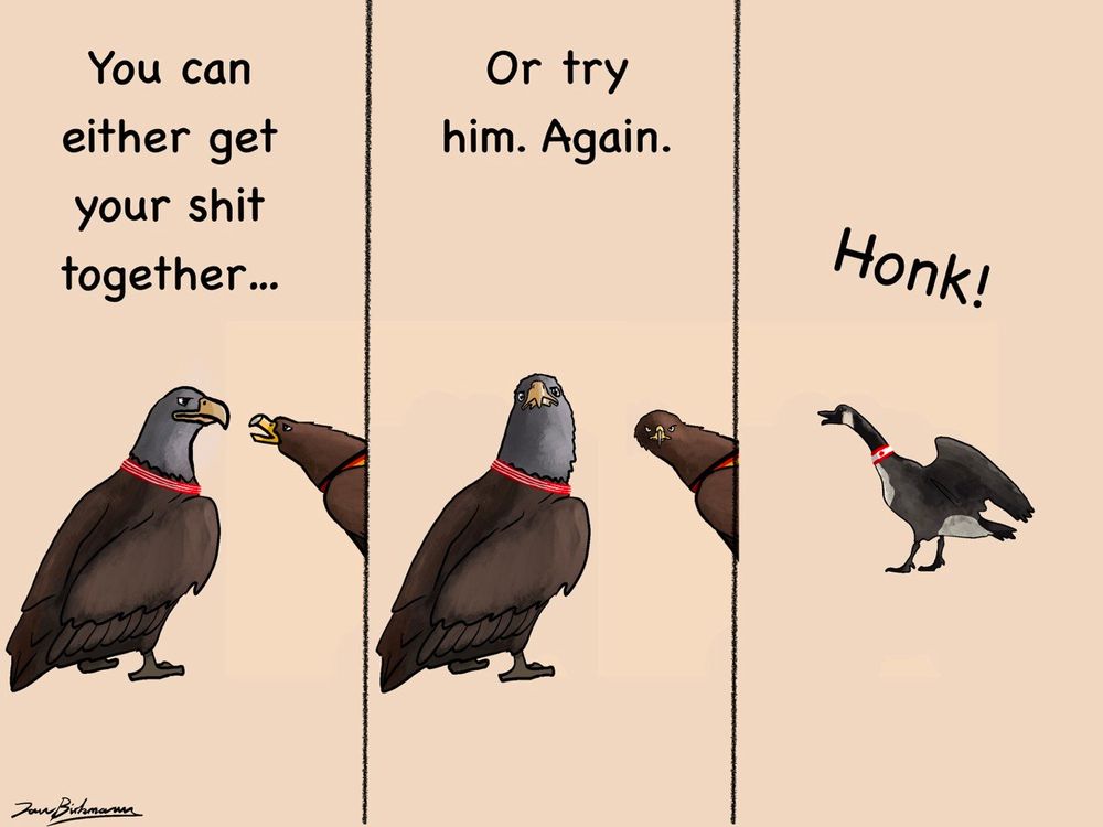 Comment image