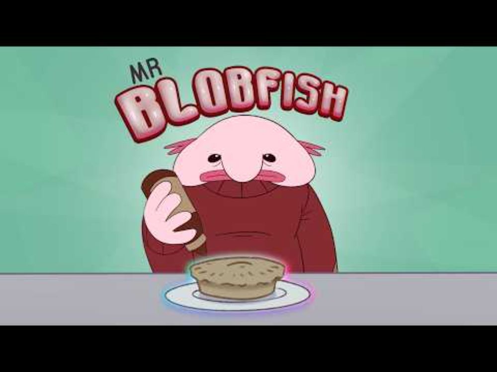 Lost in the sauce | Mr Blobfish