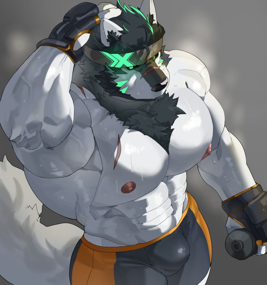 A muscular shortstack wolf with white fur relaxes after a tough hand to hand combat training session. He's wearing dark grey MMA gear with orange accents. In his left hand he holds a water bottle.