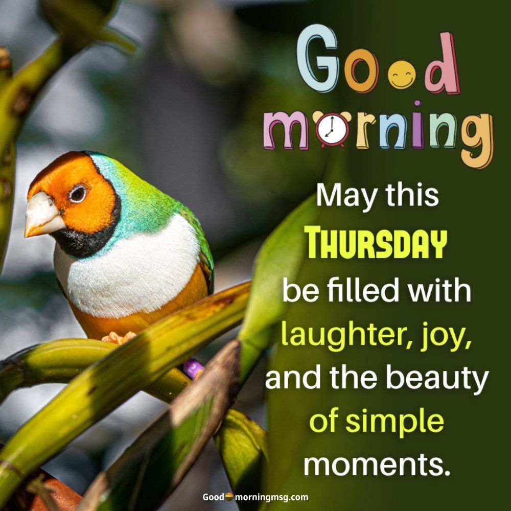 Comment image