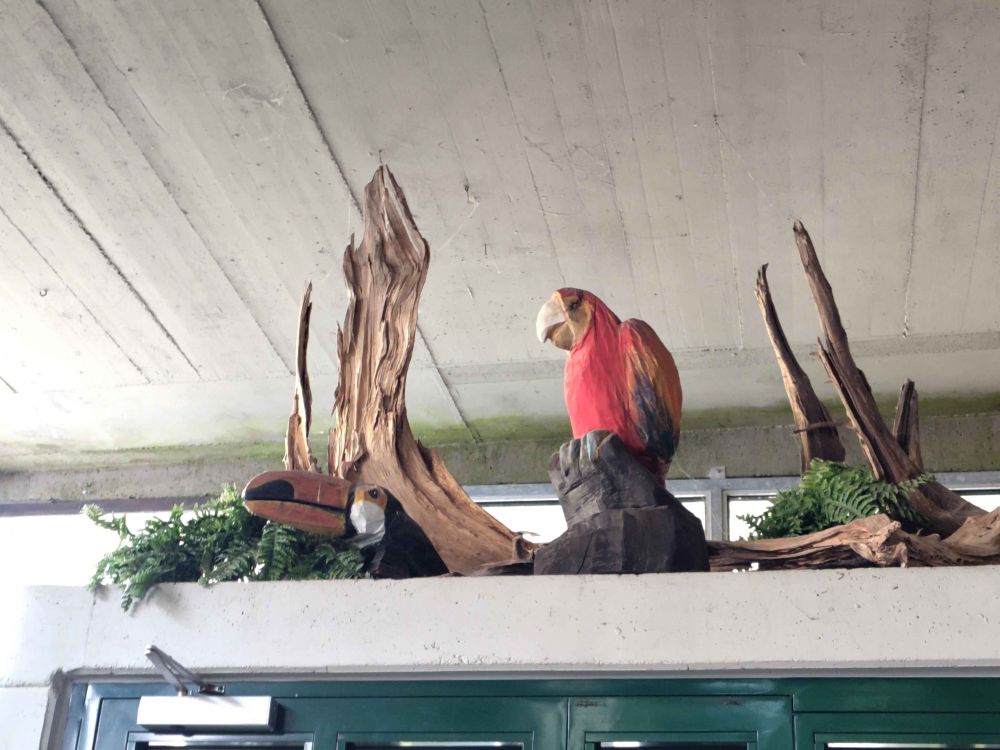 Holzfiguren hoch über einer grünen Tür, links ein Tukan, rechts ein roter Ara