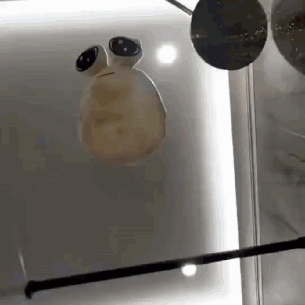 a statue of a frog with big eyes is hanging on a glass wall .