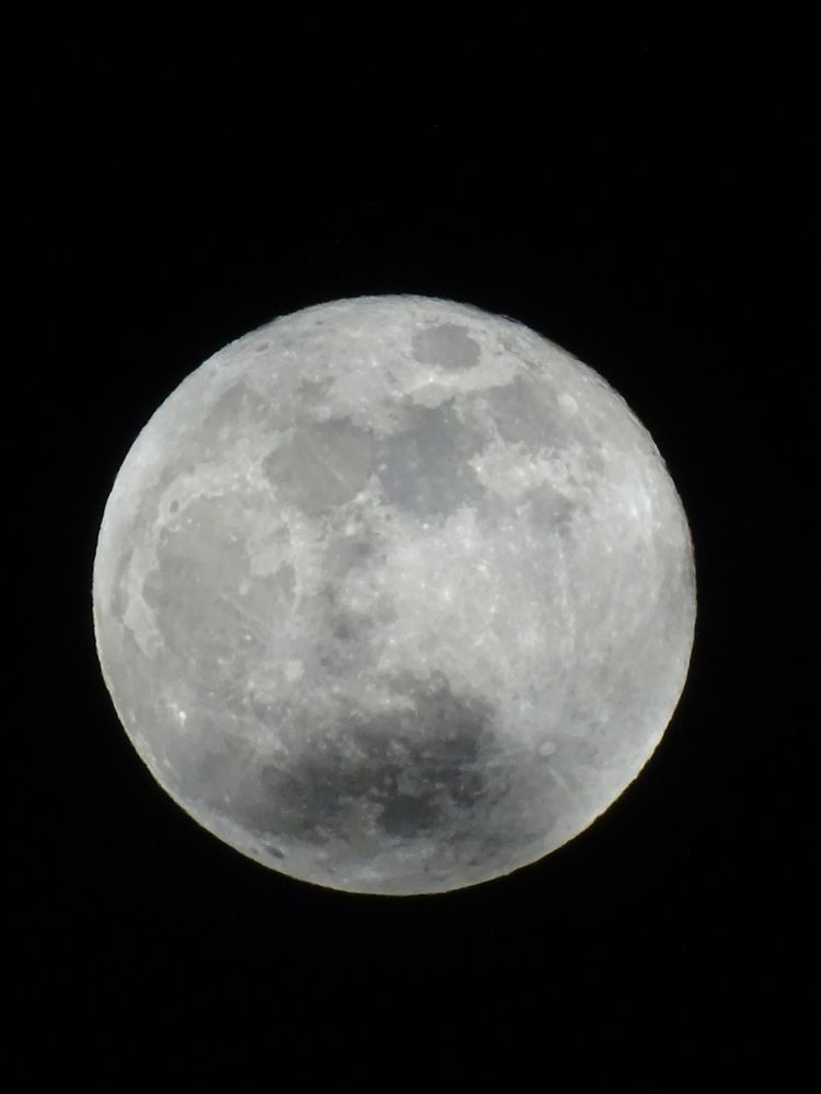 Picture of the moon