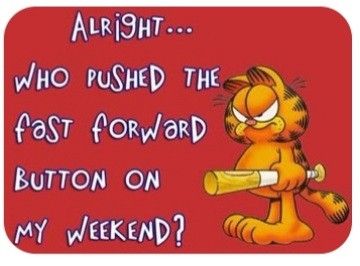 Garfield meme wit hthe text, alrighgt, who pushed fast forward on my weekend!
