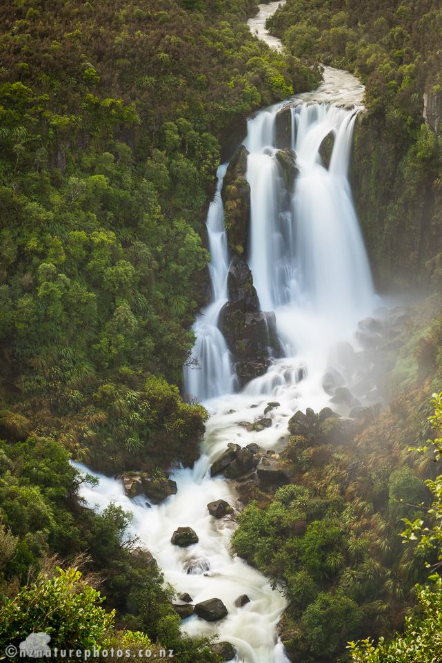 The scene is bordered by trees and shurbs on either side. These appear small relative to the falls. The falls starts at the top as a stream, that snakes toward the drop. It divides into 3 flows. It collects at the base and turns left, then turns right, flowing over rocks.