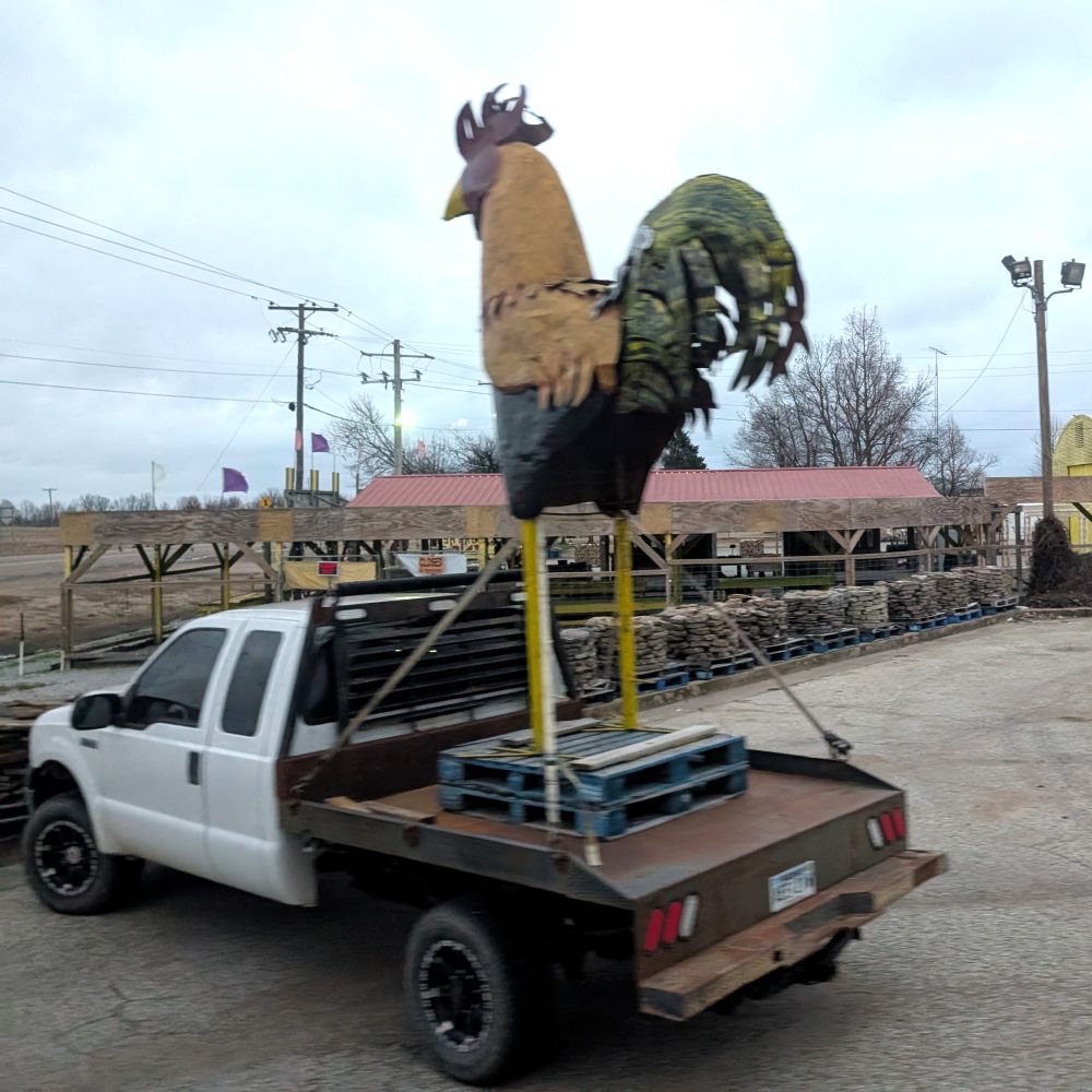 Large metal rooster sculpture strapped for transport on a flat bed truck. 