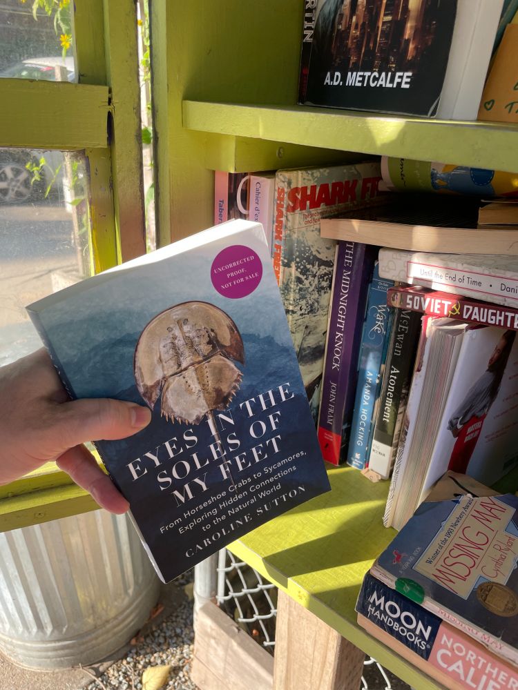 A hand holds a copy of "Eyes in the Soles of my Feet" in front of a Little Free Library.