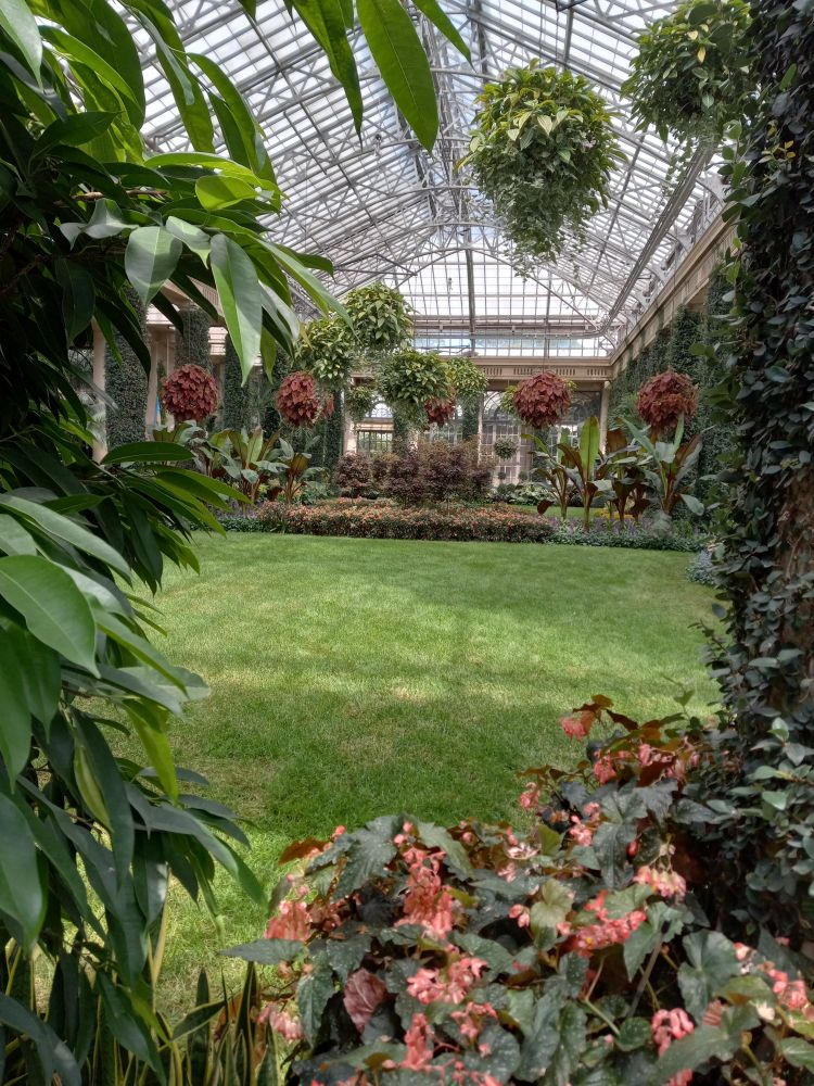 A picture from a botanical garden. lots of plants with a square patch of grass separating them