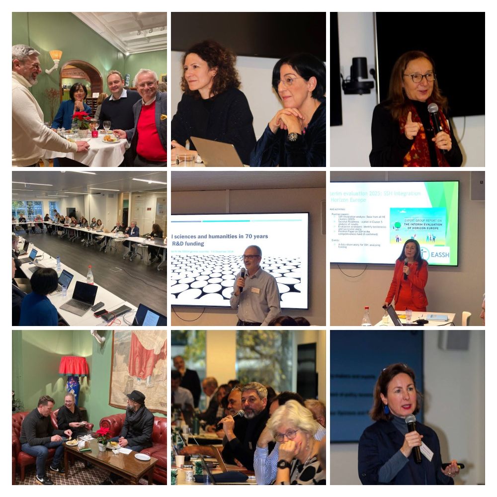 Collage from EASSH General Assembly meeting, Brussels, December 2024