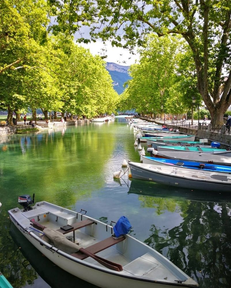 View of a lake with green reflections of the trees on both sides and small boats lined up on one side