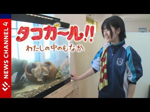 【タコガール!!】タコを愛する高校生、３年間の物語＜NEWS CH.4＞