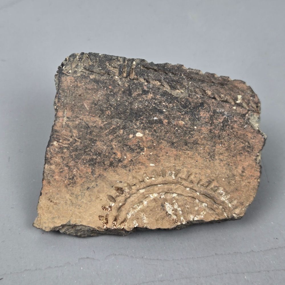 Body sherd (colours: beige; black; white encrustation) with fish bone style ornamentation towards the top and parts of a seemingly circular multi-band ornamentation with outwards facing strokes towards the bottom. Residue of white encrustations can be seen in both ornamentations.