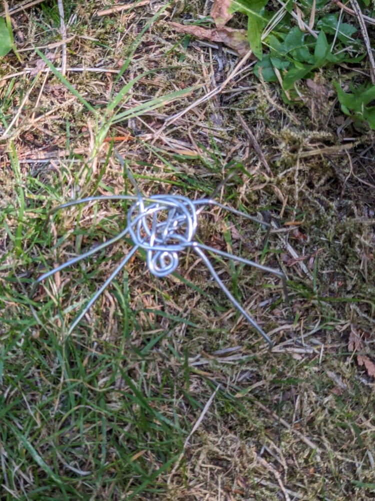 A six-legged metallic creature in the grass