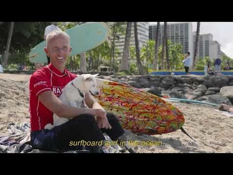 The 2025 Hawai'i Adaptive Surfing Championships
