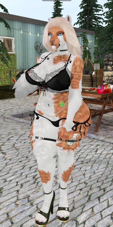 orange and white harlequin patterned cat standing in lingerie