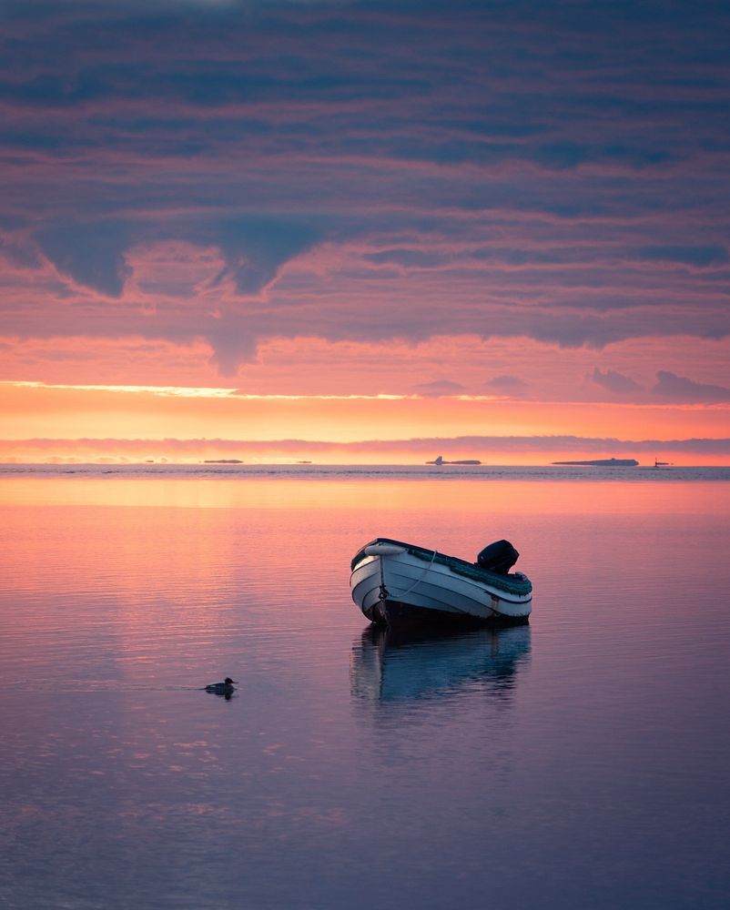 Bird and boat on still water 
